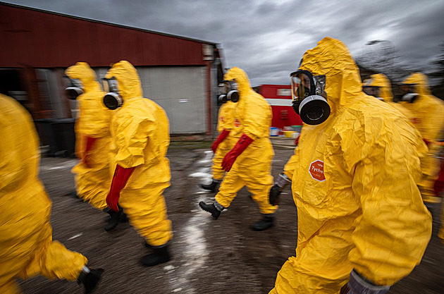 Na Hradecku zlikvidovali další chov s ptačí chřipkou, utratili sedm tisíc kachen