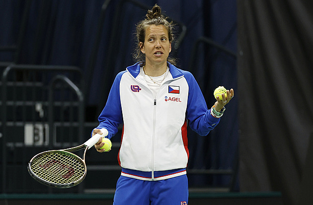 Klidnou sílu střídá živel. Strýcová očekává dojetí, cení si Pálových rad: Pořád se učím