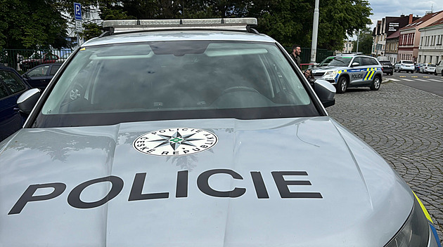 Střílel z okna bytu ve čtvrtém patře.
Policie muže zpacifikovala